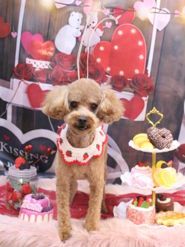 20250220レオくん